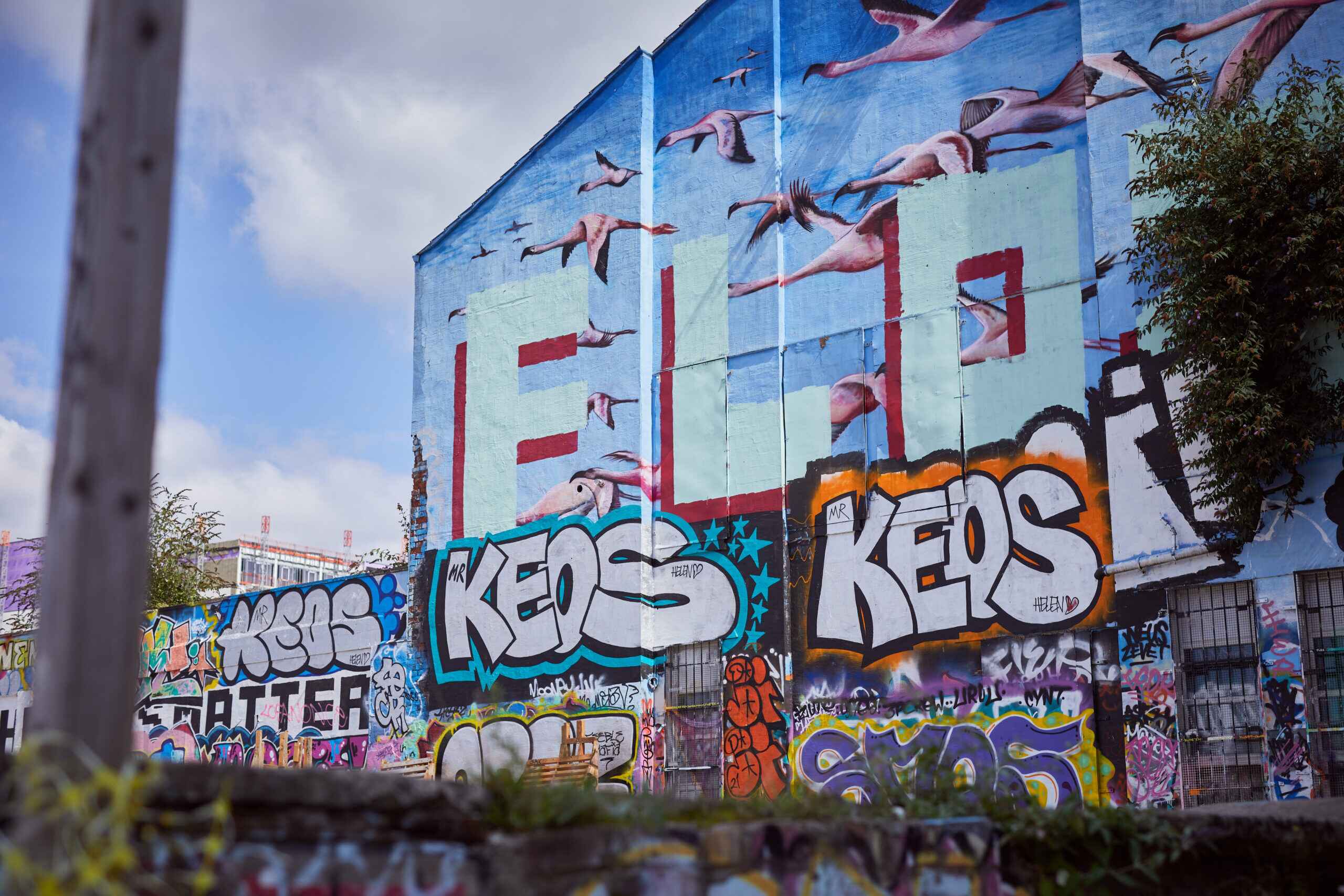 Graffiti onside of building showing birds flying in the baltic triangle