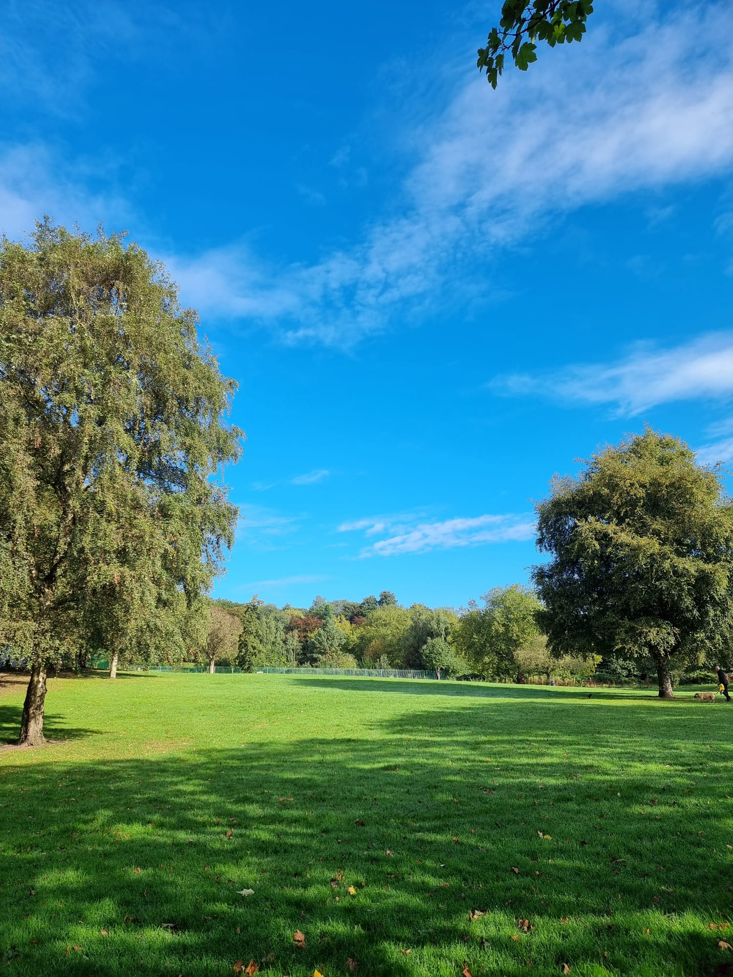 Bulie Hill Park in Salford, showing blue skies and trees